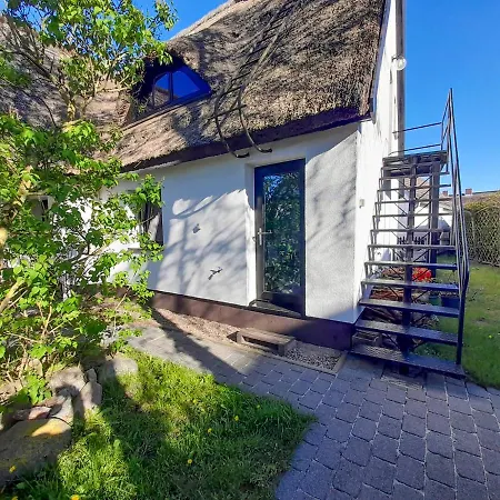 Seekiste Lejlighed Born